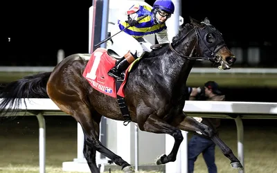 Cincinnati Trophy Stakes