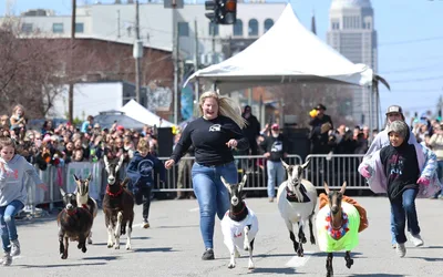 NuLu Bock Fest and Wurst Fest