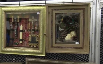 Oddities & Curiosities Expo