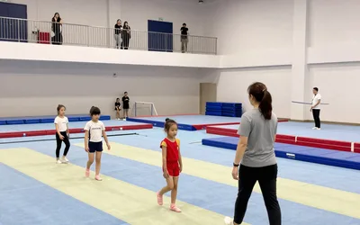 Open Gym