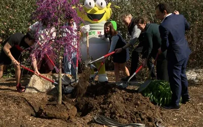 Party for the Planet