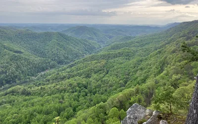 Pine Mountain Warblers, Woodlands, Watersheds and Wildlife Weekend