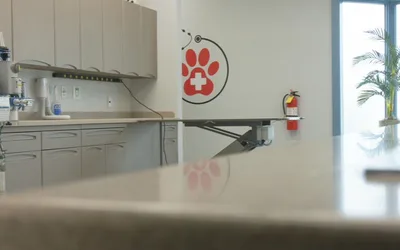 Pints for Paws & People