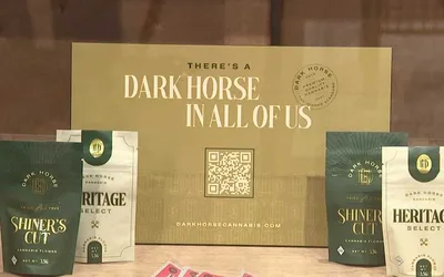 Speakeasy Dispensary Opening