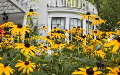 Spring Classes Registration at Baker Hunt