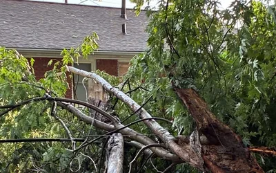 Storm Debris Drop-Off Event