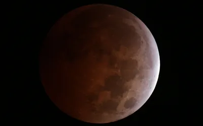 Total Lunar Eclipse Viewing