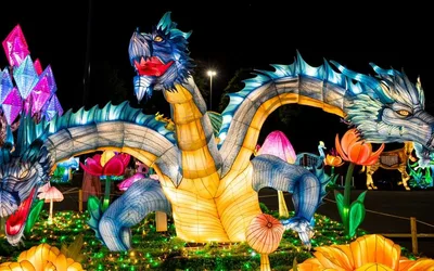 Wild Lights festival