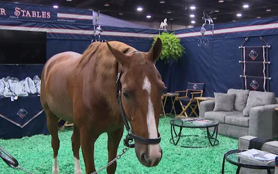 World Championship Horse Show