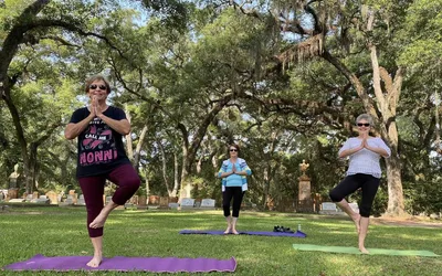 Basic & Intermediate Drawing/Color Theory