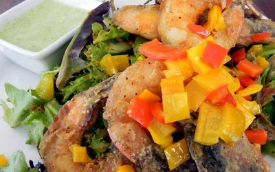 Buku Music + Art Project