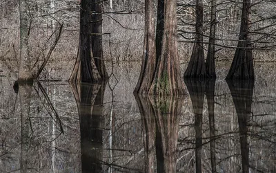 LEH's Annual Bright Lights Awards Dinner