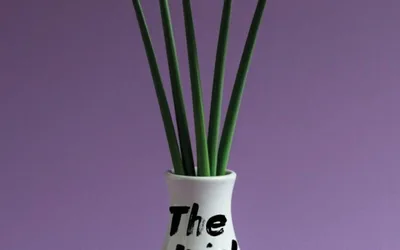 Micro-Memoir Workshop with Beth Ann Fennelly