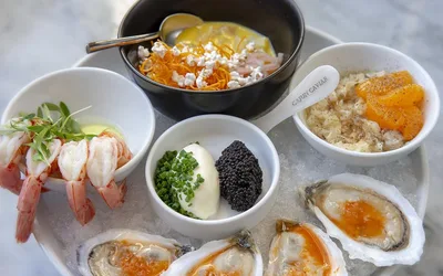 The Crustacean Club Opening