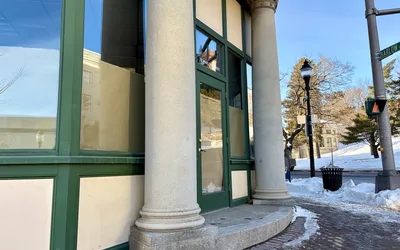 A Vintage Vixen Opening