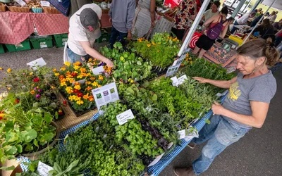 Augusta Farmers Market
