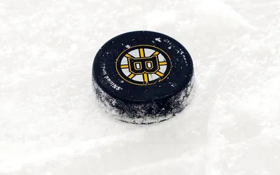 Bruins host the Lightning on losing streak