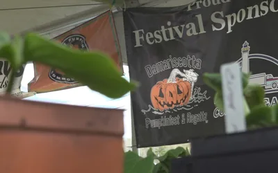 Damariscotta Pumpkinfest and Regatta