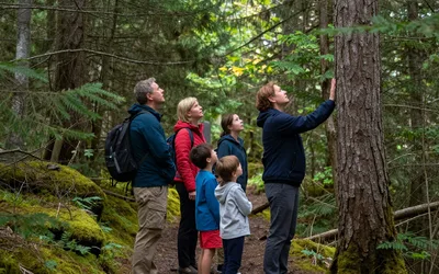Shiloh Pond Community Forest Tree ID & Bird Walk