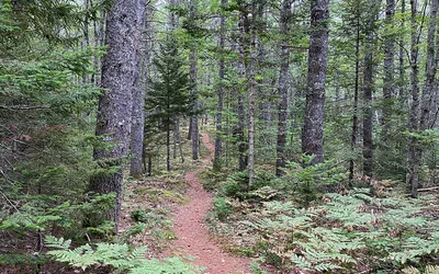 Coastal Rivers guided hike on River~Link Trail