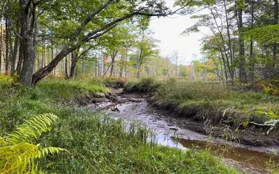 Hands-on Live Staking Workshop