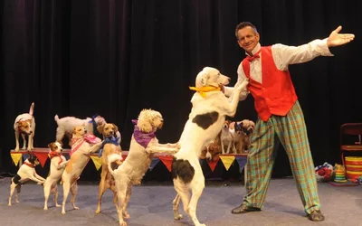 Johnny Peers and the Muttville Comix