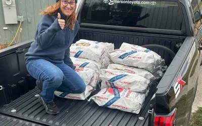 Maine Fiddlehead Festival