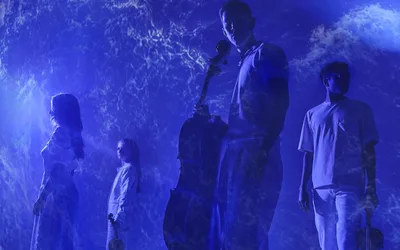 Palaver Strings: Outlook Performance