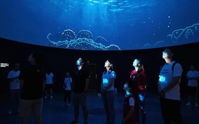 Sounds of The Ocean