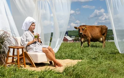 Stonyfield Organic Cow Spa