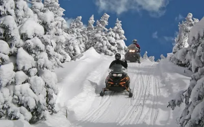 Trailhead Public Forum