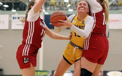 Bobcats snap eight-game losing skid