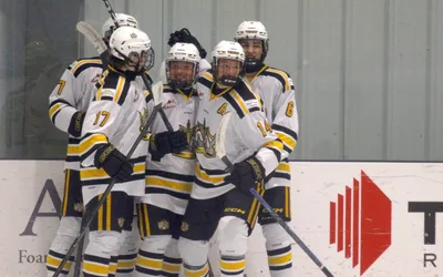 Brandon Wheat Kings Hockey Game