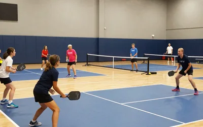Drop-In Pickleball