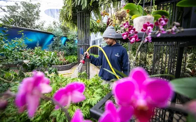 Nature’s Apothecary