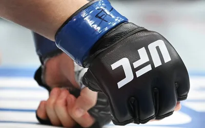 UFC Fight Night: Gibson vs Hooper