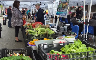 Vintage Harvest Fall Market