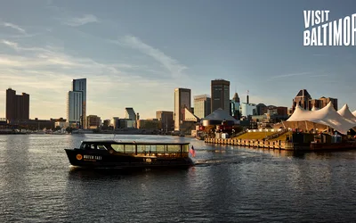 Grown Up Field Trip Throwback