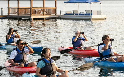 Lake Tour by Kayak