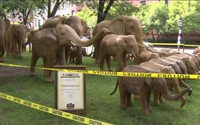Great Elephant Migration exhibit