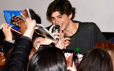 Kendall Square Cinema Renovations