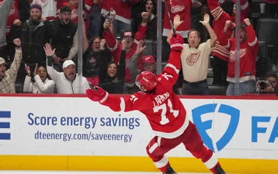 Detroit Red Wings Game