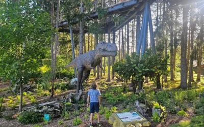 Dinosaurs Around the World