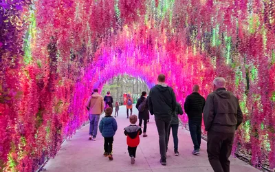 Bricks & Minifigs Grand Opening