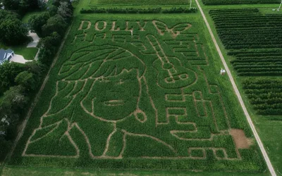 A Corn Maze Becomes a Tribute