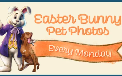 Easter Bunny Pet Photos