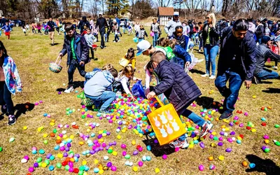 Easter Egg-Citement special event