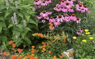 Fall Flower Fundraiser and Plant Swap