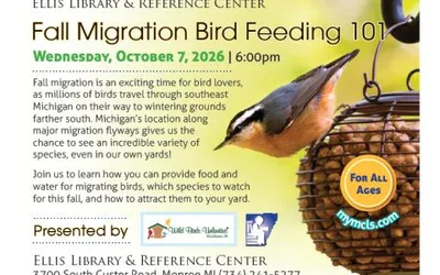 Fall Migration Bird Feeding 101