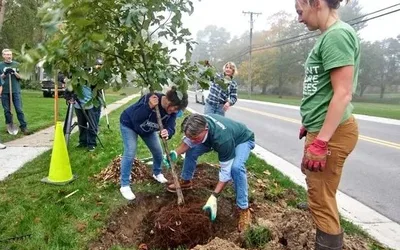 Macomb County Plant and Tree Sale